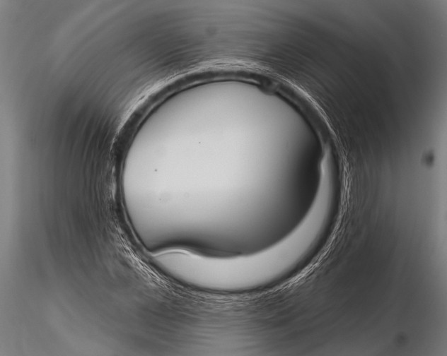 X0000116110973200912141016