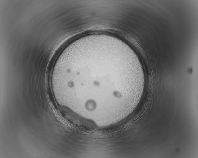 X0000116110976200912141016