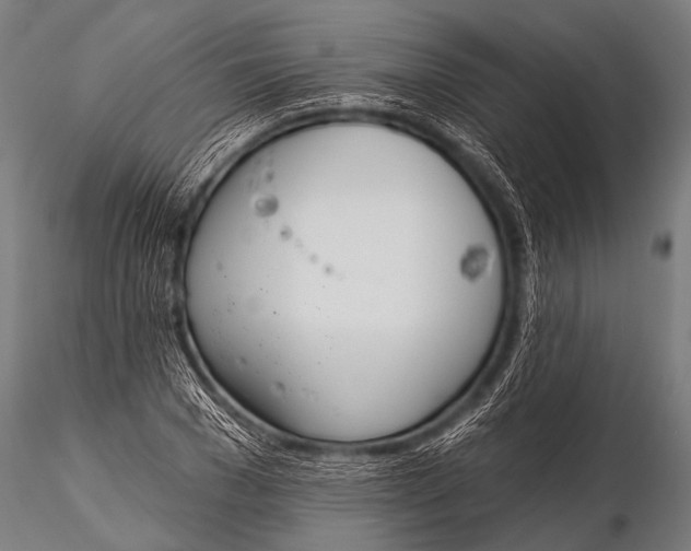 X0000116110977200912141016