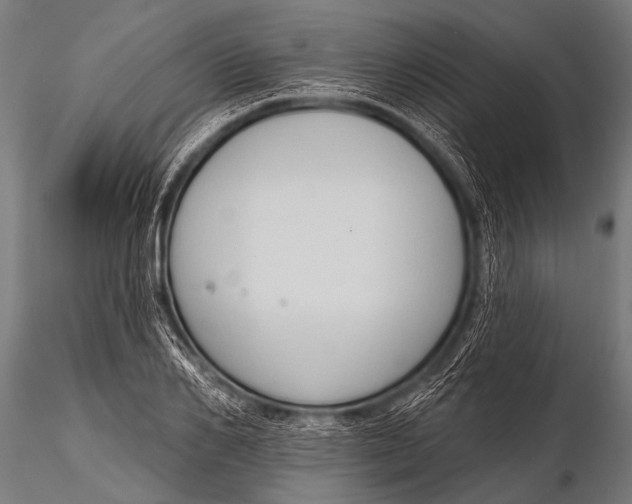 X0000116110982200912141016