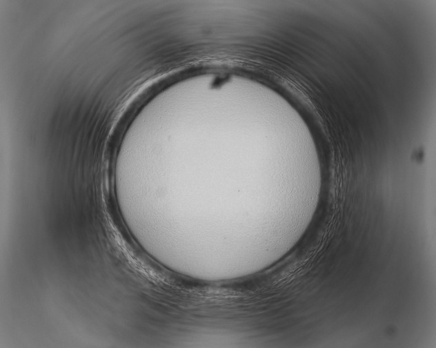 X0000116110984200912141016