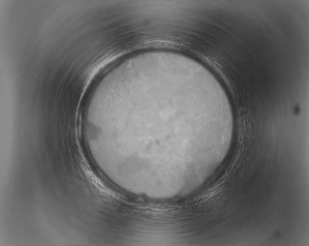 X0000116110987200912141016