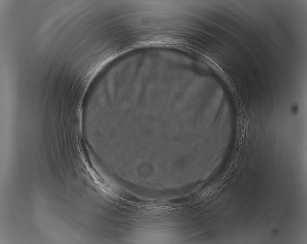 X0000116110988200912141016