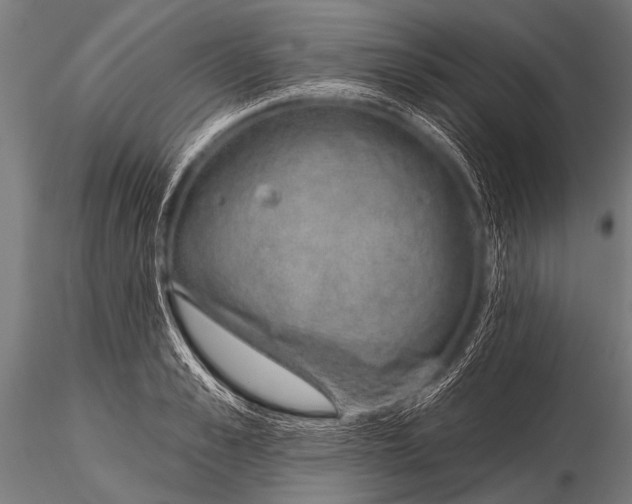 X0000116110989200912141016