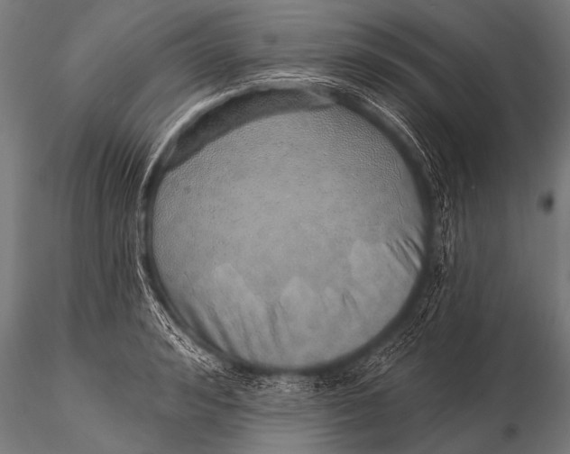 X0000116110992200912141016