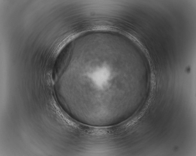 X0000116110993200912141016