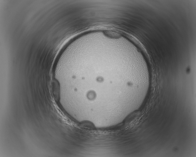 X0000116110996200912141016