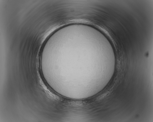 X0000116110999200912141016