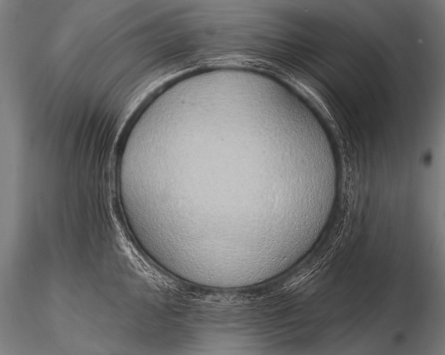 X0000116111000200912141016