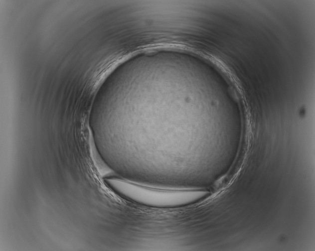 X0000116111001200912141016