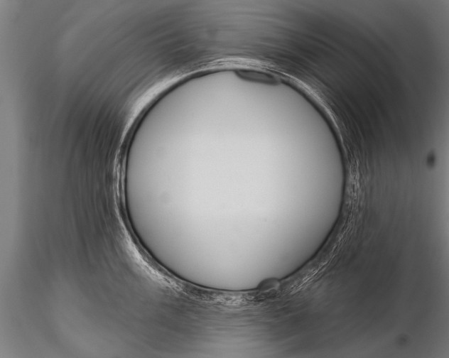 X0000116111003200912141016