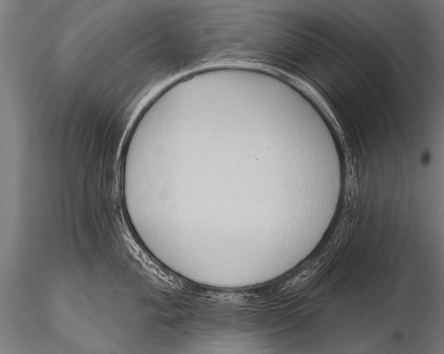 X0000116111004200912141016