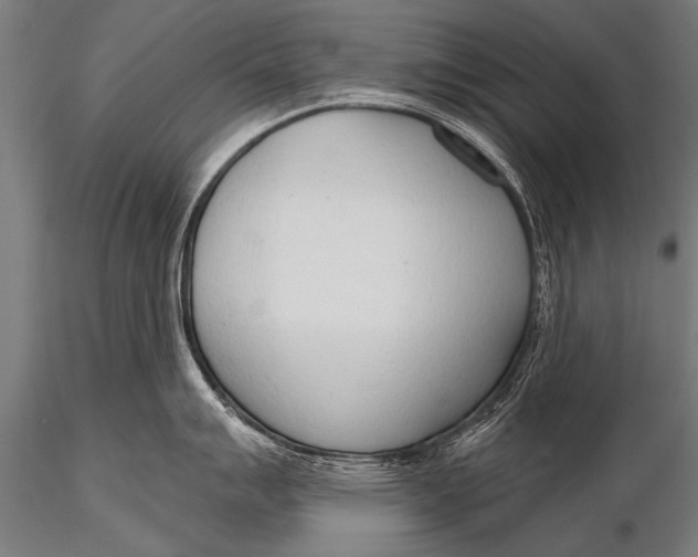 X0000116111007200912141016