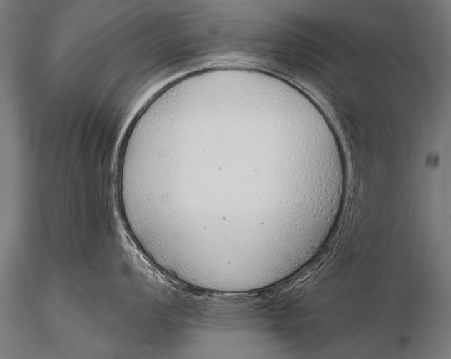 X0000116111008200912141016