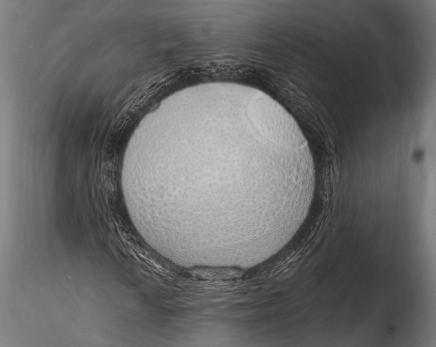 X0000116111010200912141015