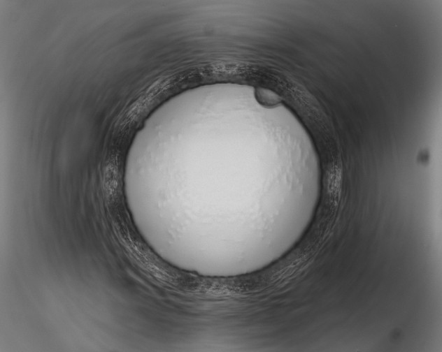 X0000116111011200912141015