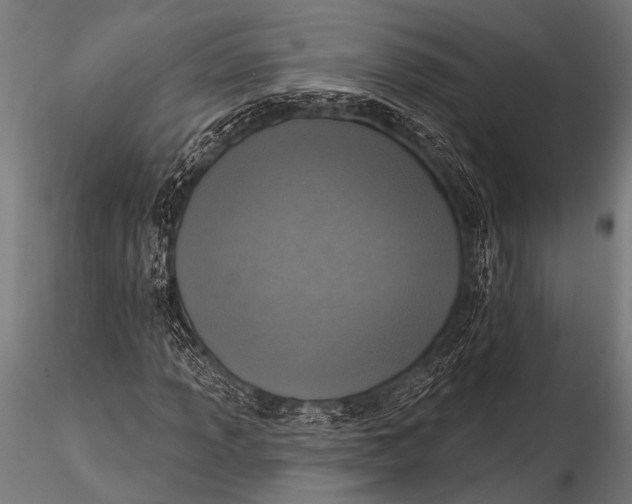 X0000116111013200912141015