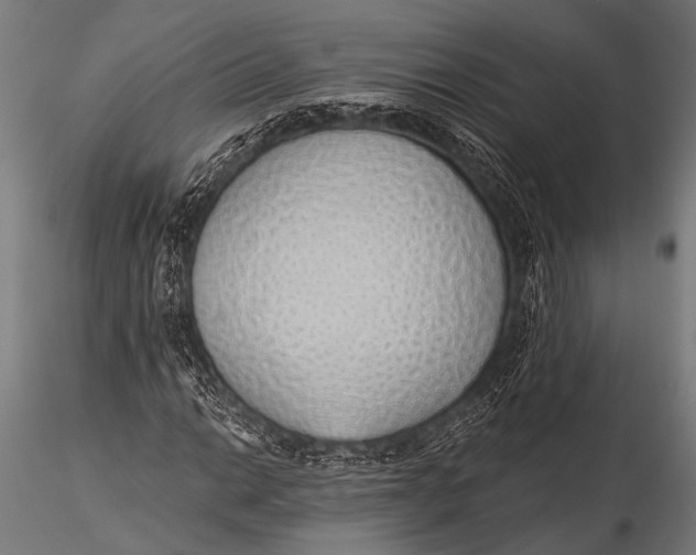 X0000116111014200912141015