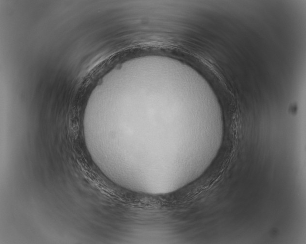 X0000116111015200912141015