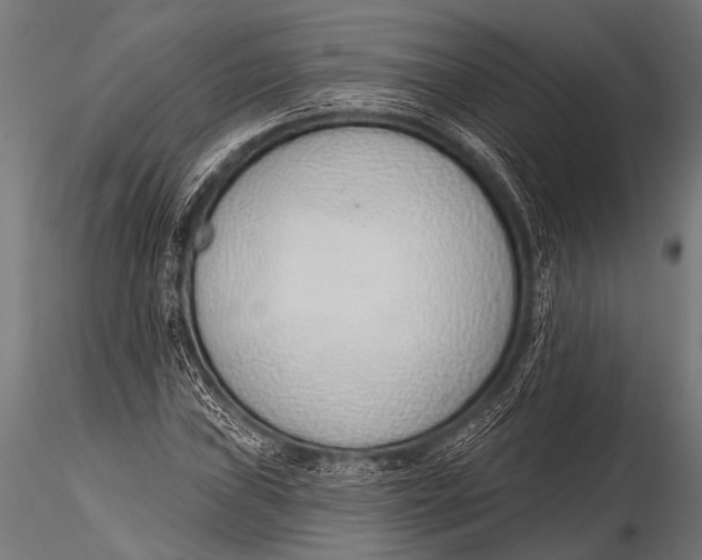 X0000116111019200912141015