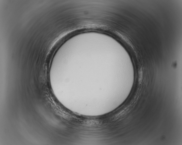 X0000116111021200912141015