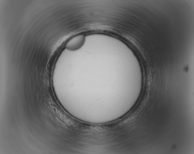 X0000116111022200912141015