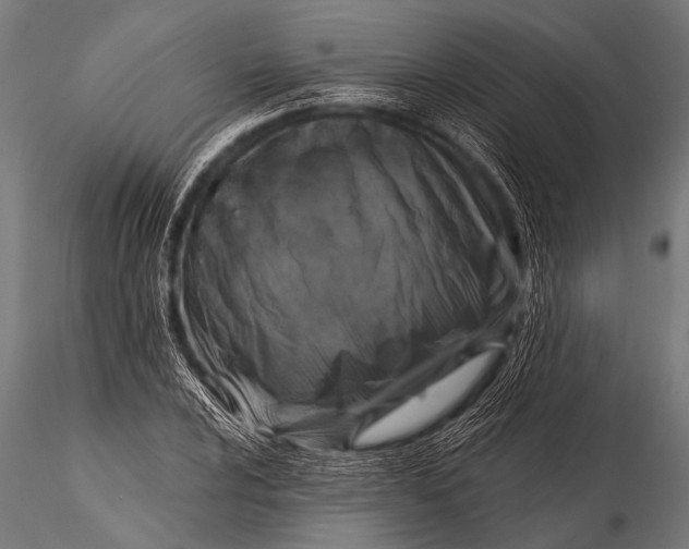 X0000116111024200912141015