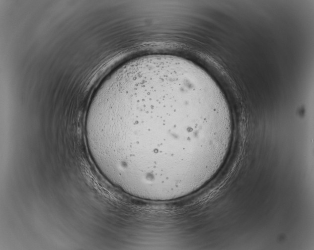 X0000116111025200912141015