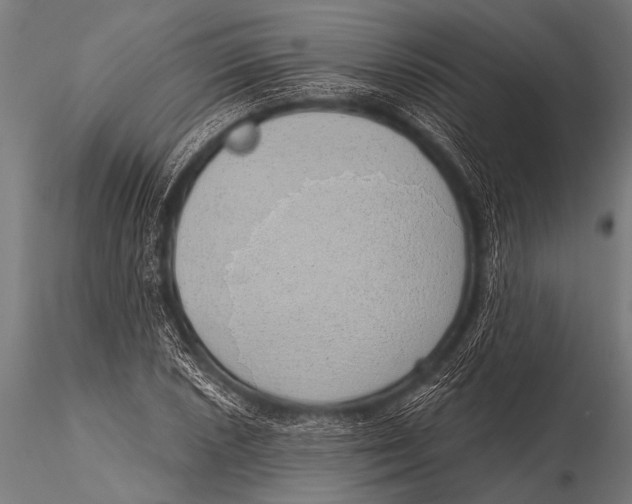 X0000116111026200912141015