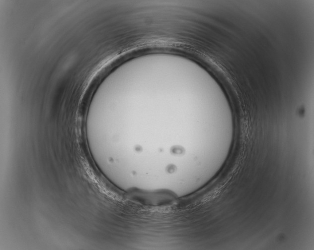 X0000116111029200912141015