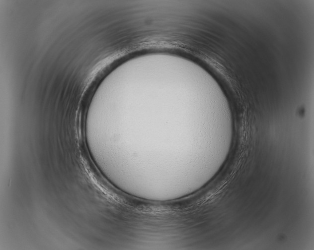 X0000116111030200912141015