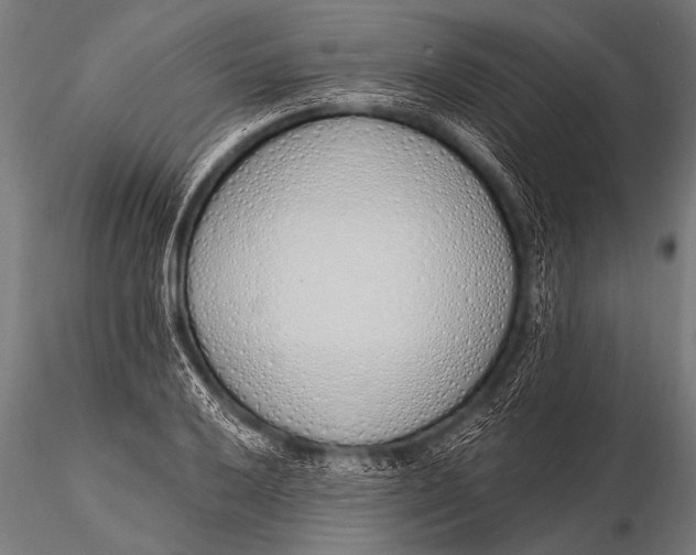 X0000116111032200912141015