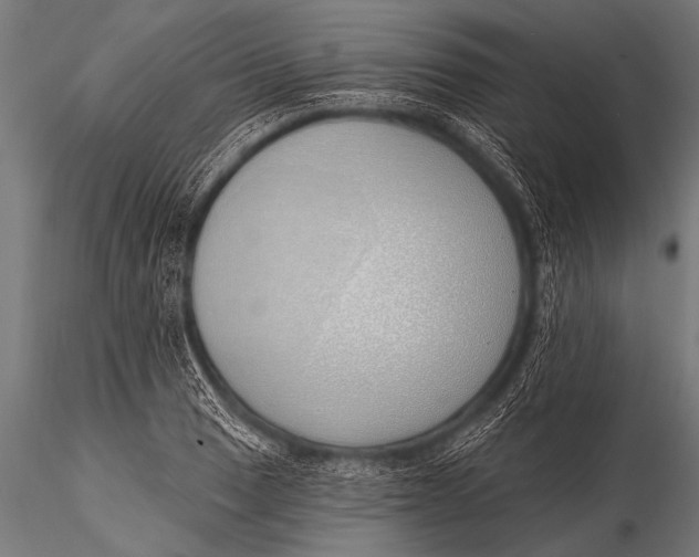 X0000116111033200912141015