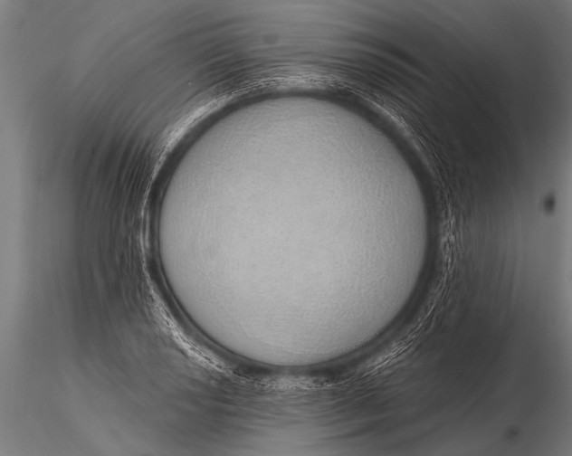 X0000116111034200912141015