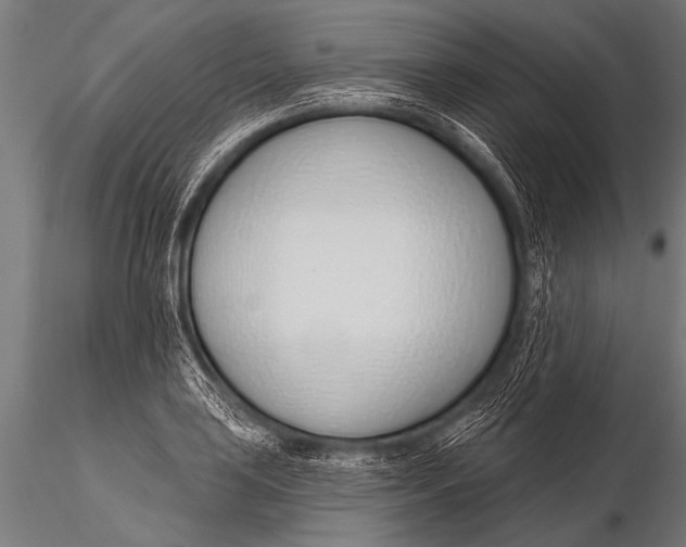 X0000116111035200912141015