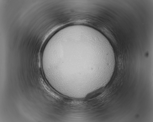 X0000116111036200912141015