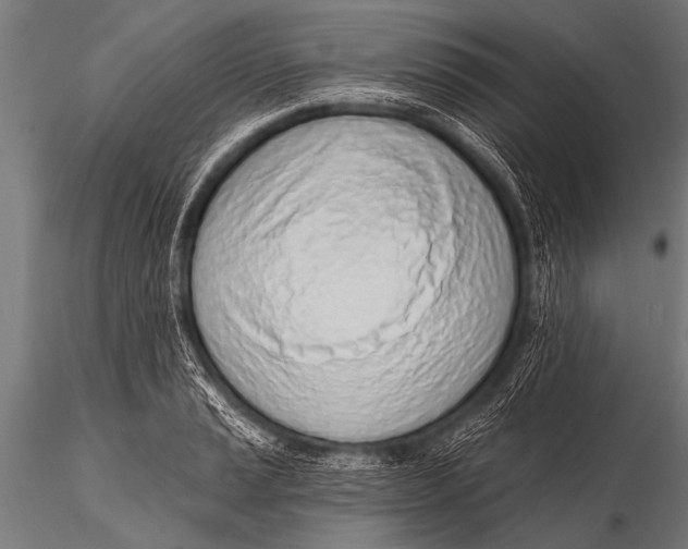 X0000116111037200912141015