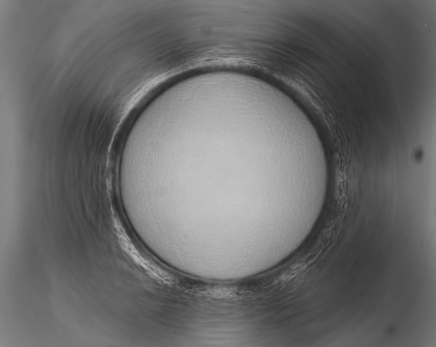 X0000116111038200912141016