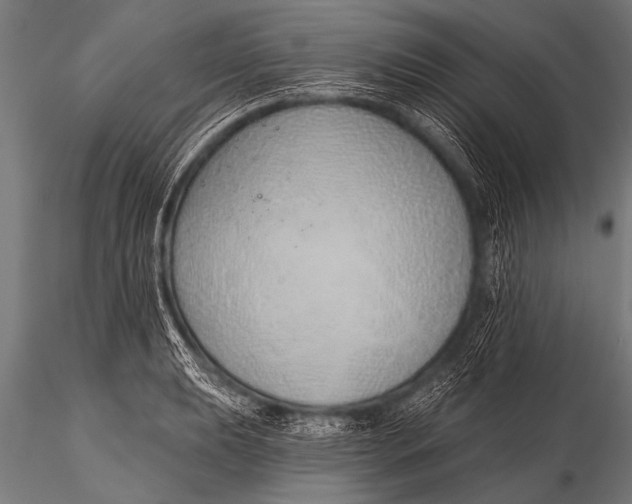 X0000116111039200912141016