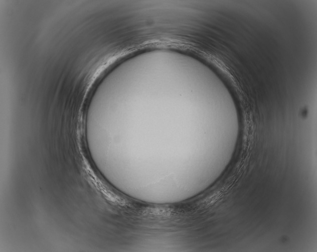 X0000116111040200912141016