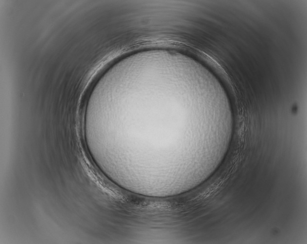 X0000116111043200912141016