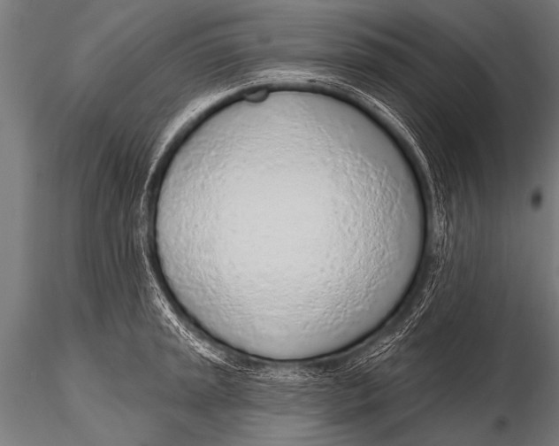 X0000116111045200912141016