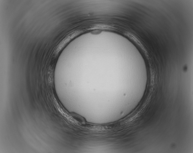 X0000116111049200912141016