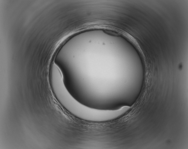 X0000116111051200912141016