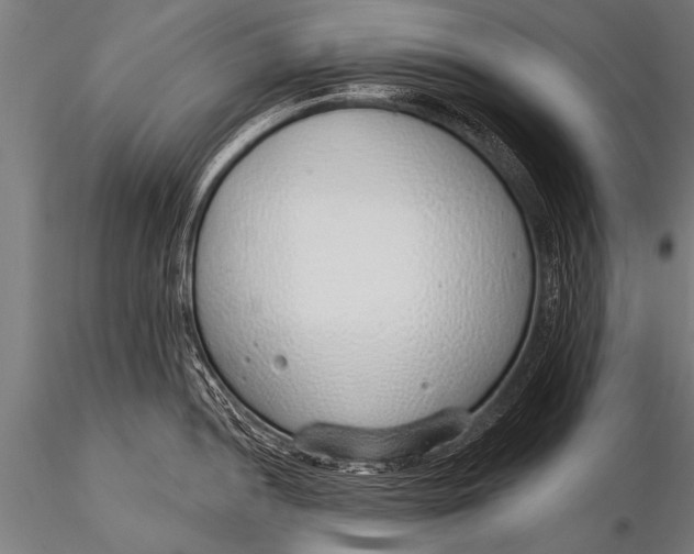 X0000116111052200912141016