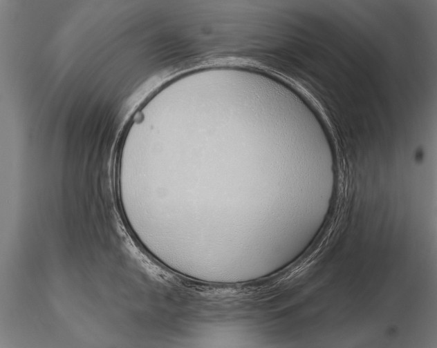 X0000116111054200912141016