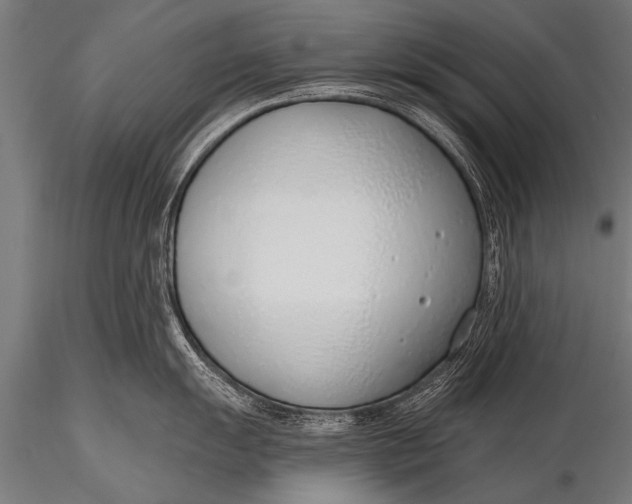 X0000116111055200912141016