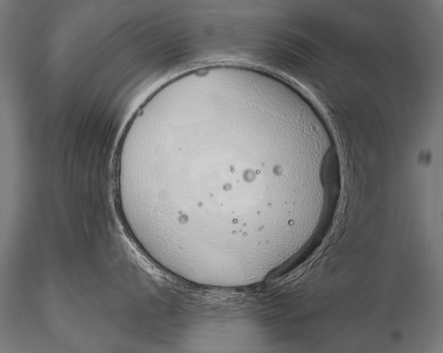 X0000116111056200912141016