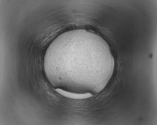 X0000116111060200912141015