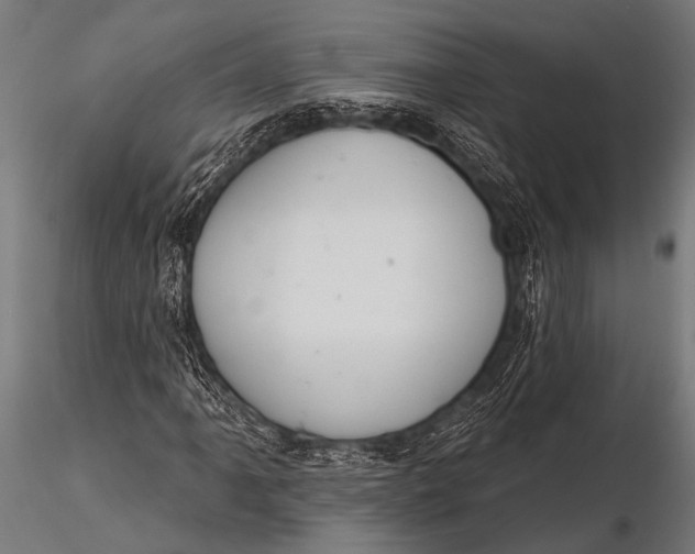 X0000116111061200912141015